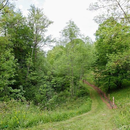 Bed and Breakfast Moulin D'Entre Les Roches Puivert Exterior foto